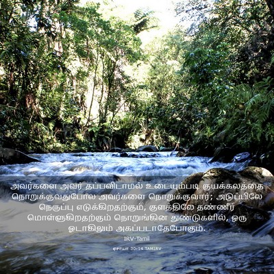 Picture 03 - ஏசாயா 30:14 TAMIRV - அவர்களை அவர் - Bible Verse Picture