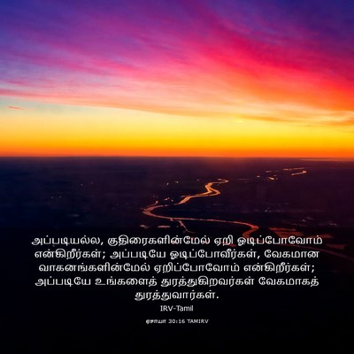 Picture 03 - ஏசாயா 30:16 TAMIRV - அப்படியல்ல, - Bible Verse Picture