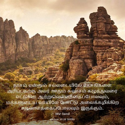 Picture 03 - ஏசாயா 30:28 TAMIRV - நாசம் என்னும் - Bible Verse Picture
