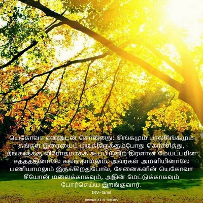 Picture 03 - ஏசாயா 31:4 TAMIRV - யெகோவா என்னுடன் - Bible Verse Picture