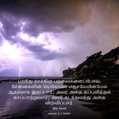 Picture 03 - ஏசாயா 31:5 TAMIRV - பறந்து காக்கிற - Bible Verse Picture