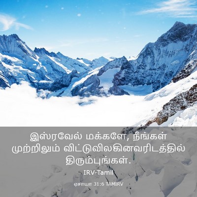 Picture 03 - ஏசாயா 31:6 TAMIRV - இஸ்ரவேல் மக்களே, - Bible Verse Picture