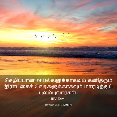 Picture 03 - ஏசாயா 32:12 TAMIRV - செழிப்பான - Bible Verse Picture