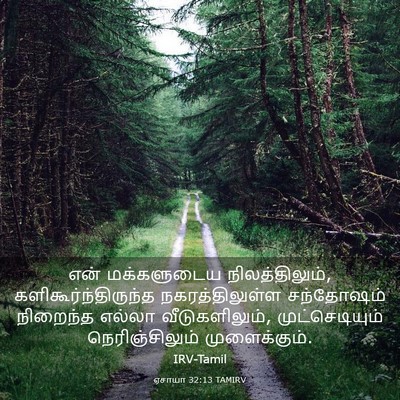 Picture 03 - ஏசாயா 32:13 TAMIRV - என் மக்களுடைய - Bible Verse Picture