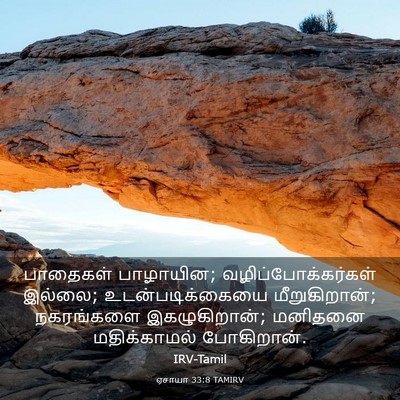 Picture 03 - ஏசாயா 33:8 TAMIRV - பாதைகள் பாழாயின; - Bible Verse Picture