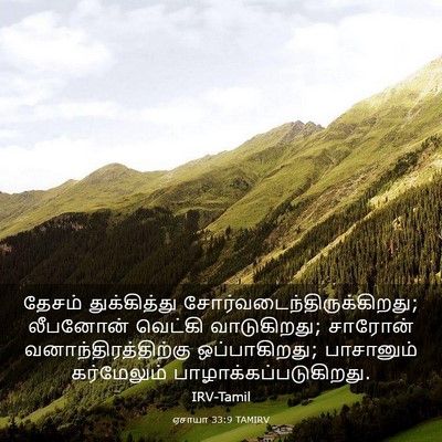 Picture 03 - ஏசாயா 33:9 TAMIRV - தேசம் துக்கித்து - Bible Verse Picture