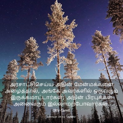 Picture 03 - ஏசாயா 34:12 TAMIRV - அரசாட்சிசெய்ய - Bible Verse Picture