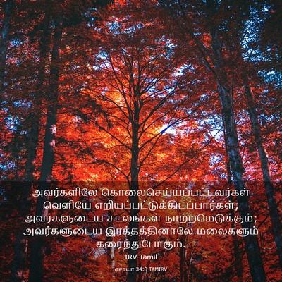 Picture 03 - ஏசாயா 34:3 TAMIRV - அவர்களிலே - Bible Verse Picture