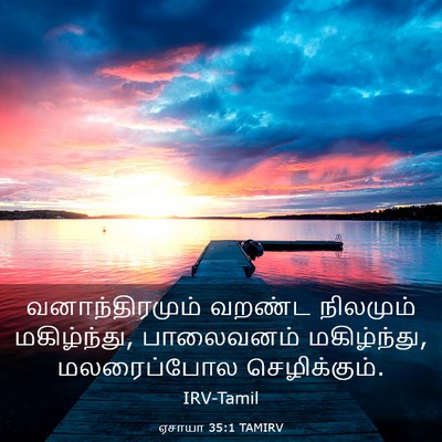 Picture 03 - ஏசாயா 35:1 TAMIRV - வனாந்திரமும் - Bible Verse Picture