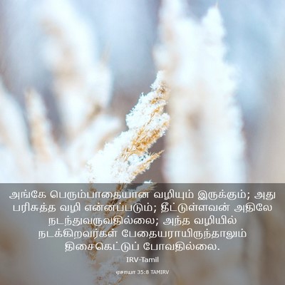 Picture 03 - ஏசாயா 35:8 TAMIRV - அங்கே - Bible Verse Picture