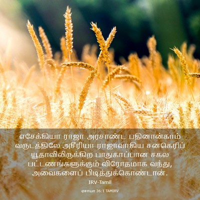 Picture 03 - ஏசாயா 36:1 TAMIRV - எசேக்கியா ராஜா - Bible Verse Picture