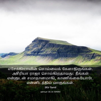 Picture 03 - ஏசாயா 36:16 TAMIRV - எசேக்கியாவின் - Bible Verse Picture