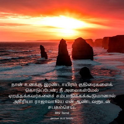 Picture 03 - ஏசாயா 36:8 TAMIRV - நான் உனக்கு - Bible Verse Picture