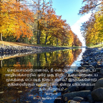 Picture 03 - ஏசாயா 36:9 TAMIRV - செய்யாமல்போனால், - Bible Verse Picture