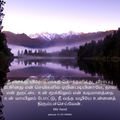Picture 03 - ஏசாயா 37:29 TAMIRV - நீ எனக்கு - Bible Verse Picture