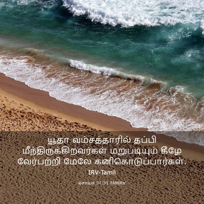 Picture 03 - ஏசாயா 37:31 TAMIRV - யூதா வம்சத்தாரில் - Bible Verse Picture