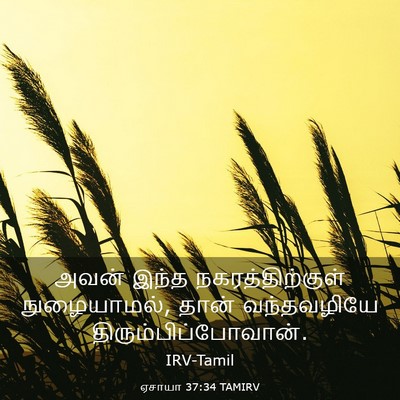 Picture 03 - ஏசாயா 37:34 TAMIRV - அவன் இந்த - Bible Verse Picture
