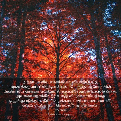 Picture 03 - ஏசாயா 38:1 TAMIRV - அந்நாட்களில் - Bible Verse Picture