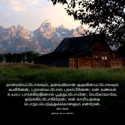 Picture 03 - ஏசாயா 38:14 TAMIRV - நாரையைப்போலவும், - Bible Verse Picture
