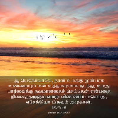 Picture 03 - ஏசாயா 38:3 TAMIRV - ஆ யெகோவாவே, நான் - Bible Verse Picture