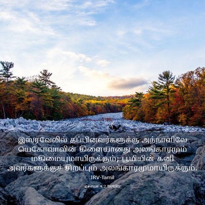 Picture 03 - ஏசாயா 4:2 TAMIRV - இஸ்ரவேலில் - Bible Verse Picture