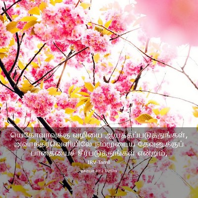 Picture 03 - ஏசாயா 40:3 TAMIRV - யெகோவாவுக்கு - Bible Verse Picture