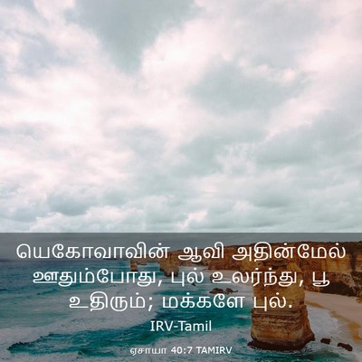 Picture 03 - ஏசாயா 40:7 TAMIRV - யெகோவாவின் ஆவி - Bible Verse Picture