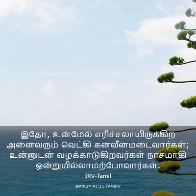 Picture 03 - ஏசாயா 41:11 TAMIRV - இதோ, உன்மேல் - Bible Verse Picture