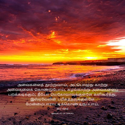 Picture 03 - ஏசாயா 41:16 TAMIRV - அவைகளைத் - Bible Verse Picture