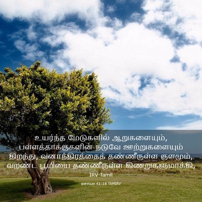 Picture 03 - ஏசாயா 41:18 TAMIRV - உயர்ந்த மேடுகளில் - Bible Verse Picture