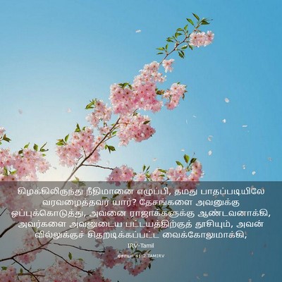 Picture 03 - ஏசாயா 41:2 TAMIRV - கிழக்கிலிருந்து - Bible Verse Picture