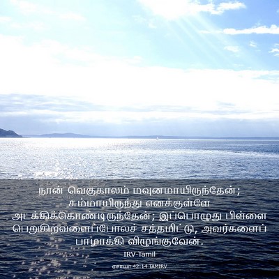 Picture 03 - ஏசாயா 42:14 TAMIRV - நான் வெகுகாலம் - Bible Verse Picture