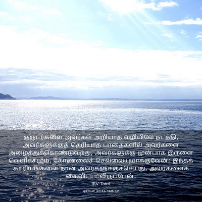 Picture 03 - ஏசாயா 42:16 TAMIRV - குருடர்களை - Bible Verse Picture