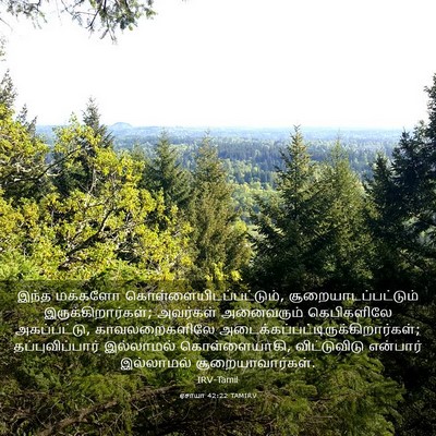 Picture 03 - ஏசாயா 42:22 TAMIRV - இந்த மக்களோ - Bible Verse Picture
