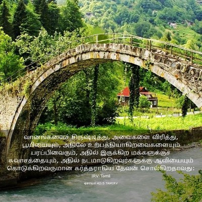 Picture 03 - ஏசாயா 42:5 TAMIRV - வானங்களைச் - Bible Verse Picture