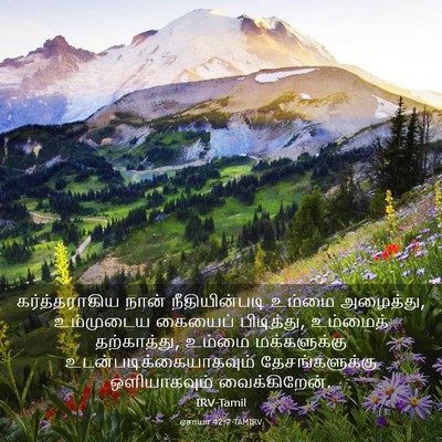 Picture 03 - ஏசாயா 42:7 TAMIRV - கர்த்தராகிய நான் - Bible Verse Picture