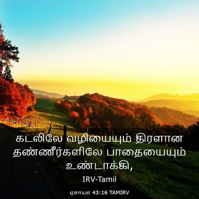 Picture 03 - ஏசாயா 43:16 TAMIRV - கடலிலே வழியையும் - Bible Verse Picture