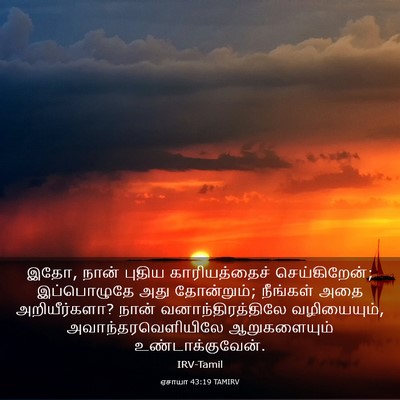 Picture 03 - ஏசாயா 43:19 TAMIRV - இதோ, நான் புதிய - Bible Verse Picture