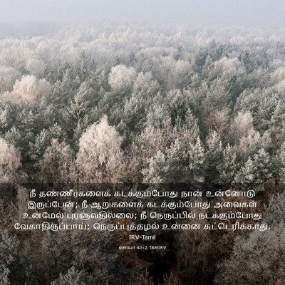 Picture 03 - ஏசாயா 43:2 TAMIRV - நீ தண்ணீர்களைக் - Bible Verse Picture