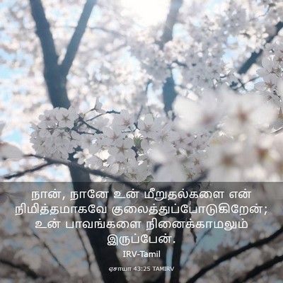 Picture 03 - ஏசாயா 43:25 TAMIRV - நான், நானே உன் - Bible Verse Picture
