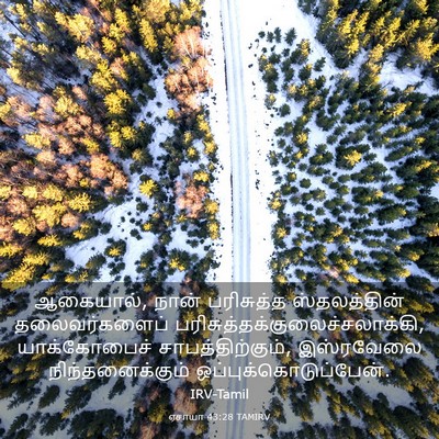 Picture 03 - ஏசாயா 43:28 TAMIRV - ஆகையால், நான் - Bible Verse Picture
