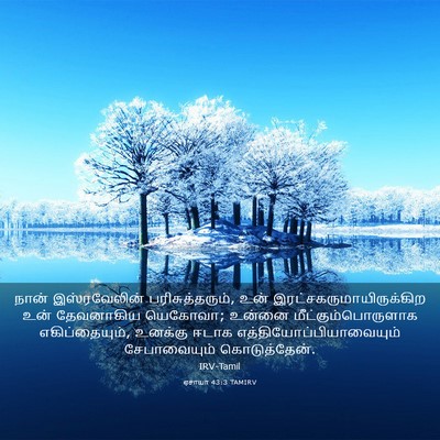 Picture 03 - ஏசாயா 43:3 TAMIRV - நான் இஸ்ரவேலின் - Bible Verse Picture