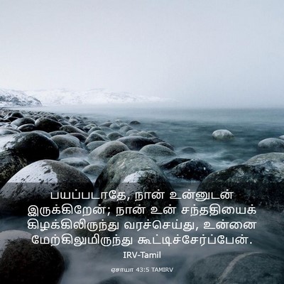 Picture 03 - ஏசாயா 43:5 TAMIRV - பயப்படாதே, நான் - Bible Verse Picture