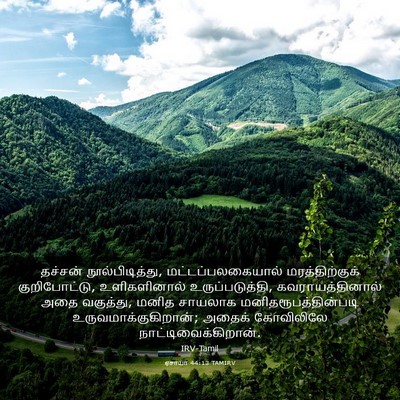 Picture 03 - ஏசாயா 44:13 TAMIRV - தச்சன் - Bible Verse Picture