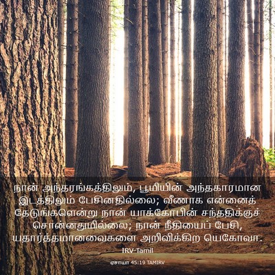 Picture 03 - ஏசாயா 45:19 TAMIRV - நான் - Bible Verse Picture