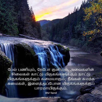Picture 03 - ஏசாயா 46:1 TAMIRV - பேல் பணியும், நேபோ - Bible Verse Picture