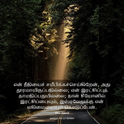 Picture 03 - ஏசாயா 46:13 TAMIRV - என் நீதியைச் - Bible Verse Picture