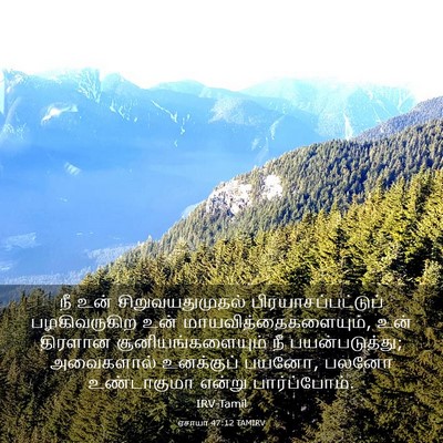 Picture 03 - ஏசாயா 47:12 TAMIRV - நீ உன் - Bible Verse Picture