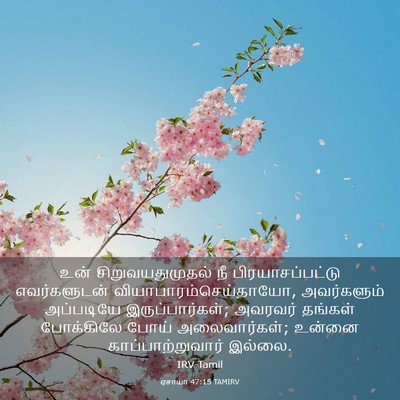 Picture 03 - ஏசாயா 47:15 TAMIRV - உன் சிறுவயதுமுதல் - Bible Verse Picture