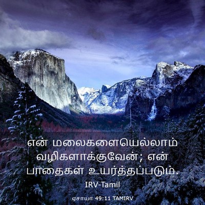 Picture 03 - ஏசாயா 49:11 TAMIRV - என் - Bible Verse Picture